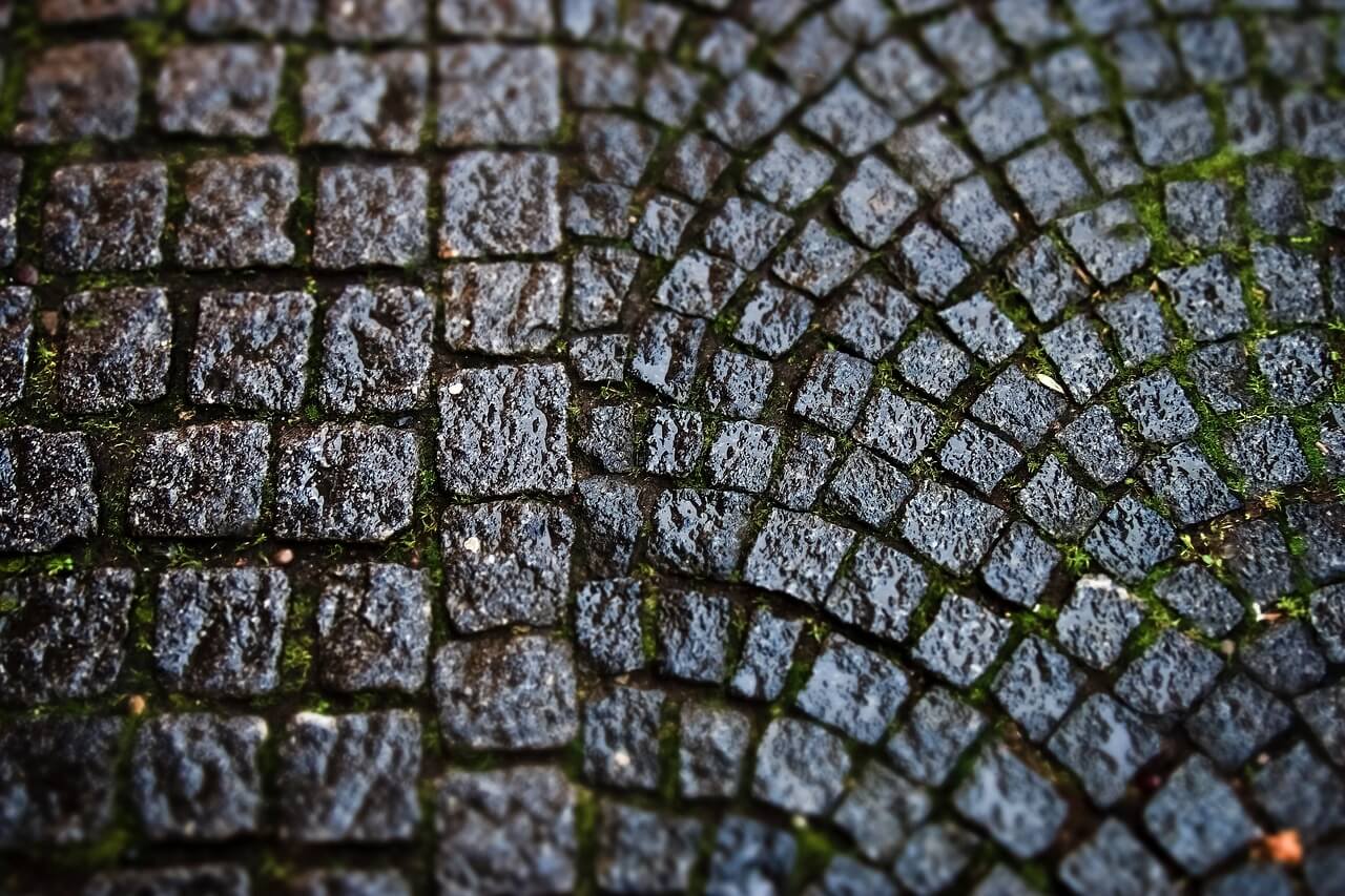 jak usunąć mech z kostki brukowej, żeby nie wrócił